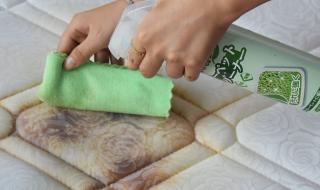 清洗皮革沙发的清洁剂